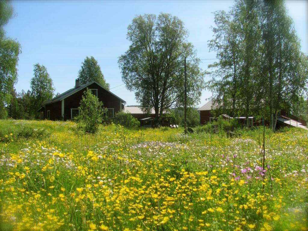 Ellis Garden ξενώνας Vemhån Εξωτερικό φωτογραφία
